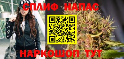 ПСИЛОЦИБИНОВЫЕ ГРИБЫ Камышлов