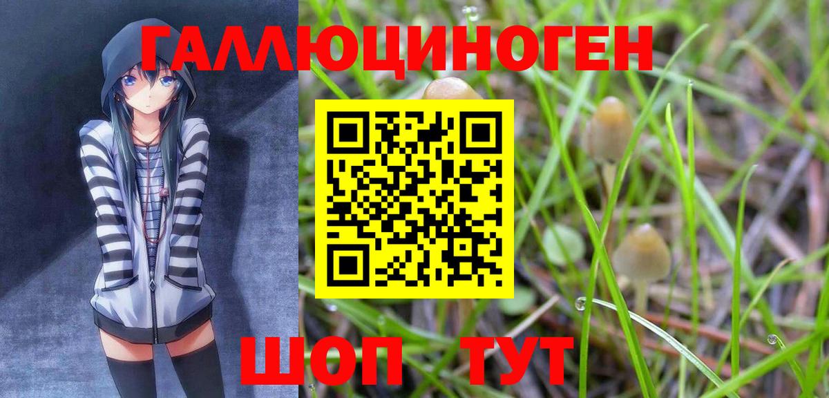 Псилоцибиновые грибы Magic Shrooms  наркота  Партизанск  Вход с VPN  Галлюциногенные грибы MAGIC MUSHROOMS 