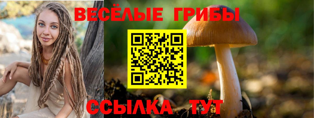 Псилоцибиновые грибы Psilocybe Партизанск